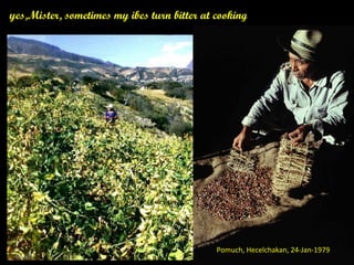 Discovery of the wild progenitor of Lima bean: a contribution  to local communities, phylogeographers and climatologist