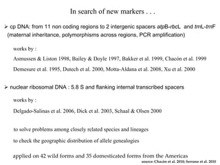 Discovery of the wild progenitor of Lima bean: a contribution  to local communities, phylogeographers and climatologist