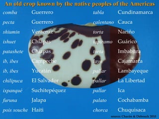 Discovery of the wild progenitor of Lima bean: a contribution  to local communities, phylogeographers and climatologist