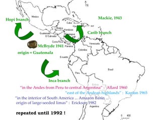 Discovery of the wild progenitor of Lima bean: a contribution  to local communities, phylogeographers and climatologist