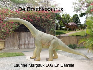 De Brachiosaurus Laurine,Margaux D.G En Camille 
