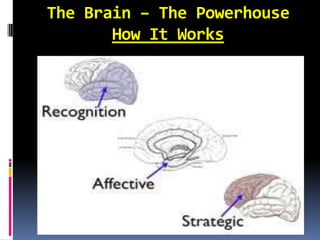 The Brain – The Powerhouse
       How It Works
 