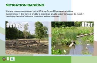 A federal program administered by the US Army Corps of Engineers that utilizes
market forces in the form of credits to incentivize private sector companies to invest in
cleaning up the nation’s streams, creeks and wetland resources.
MITIGATION BANKING
 