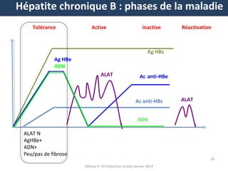 Hépatite chronique B : phases de la maladie
Tolérance

Active

inactive

Réactivation

Ag HBs
Ag HBe
ADN
ALAT

Ac anti-HBe

Ac anti-HBc

ALAT

ADN
ALAT N
AgHBe+
ADN+
Peu/pas de fibrose

10
Debray D- DU hépatites virales-Janvier 2014

 