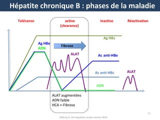 Hépatite chronique B : phases de la maladie
Tolérance

active
(clearance)

inactive

Réactivation

Ag HBs
Ag HBe
ADN

Fibrose
ALAT

Ac anti-HBe

Ac anti-HBc

ALAT

ADN
ALAT augmentées
ADN faible
HCA +-Fibrose
11
Debray D- DU hépatites virales-Janvier 2014

 