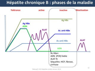 Hépatite chronique B : phases de la maladie
Tolérance

active

inactive

Réactivation

Ag HBs
Ag HBe
ADN
ALAT

Ac anti-HBe

Ac anti-HBc

ALAT

ADN
Ac Hbe+
ADN (PCR) faible
ALAT N
Séquelles: HCP, fibrose,
cirrhose
Debray D- DU hépatites virales-Janvier 2014

12

 