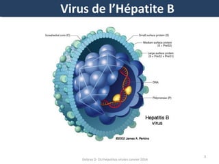 Virus de l’Hépatite
Virus de l’Hépatite CB

Debray D- DU hépatites virales-Janvier 2014

3

 