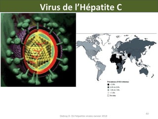 Virus de l’Hépatite C

Debray D- DU hépatites virales-Janvier 2014

43

 