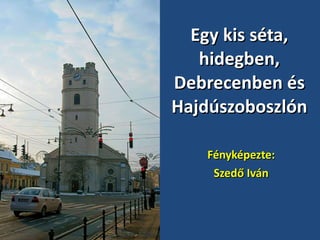Egy kis séta, hidegben, Debrecenben és Hajdúszoboszlón Fényképezte: Szedő Iván 