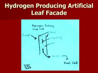 Hydrogen Producing Artificial
Leaf Facade
 