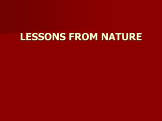 LESSONS FROM NATURE
 