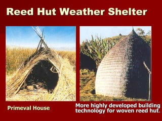 Reed Hut Weather Shelter
More highly developed building
technology for woven reed hut.Primeval House
 