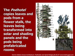 The Podhotel
copies leaves and
pods from a
flower stalk, the
leaves being
transformed into
solar and shading
panels and the
pods being
prefabricated
rooms.
Dennis Dollens Grows Architecture: Podhotels and Spiral Bridges,06.05.07 www.treehugger.com
 
