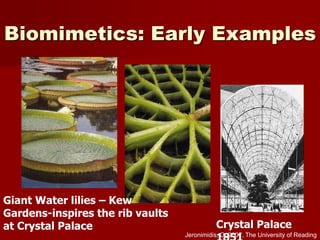 Biomimetics: Early Examples
Giant Water lilies – Kew
Gardens-inspires the rib vaults
at Crystal Palace Crystal Palace
Jeronimidis, G, 2007, The University of Reading
 