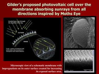 Gilder’s proposed photovoltaic cell over the
membrane absorbing sunrays from all
directions inspired by Moths Eye
Microscopic view of a schematic membrane with
impregnations on its outer surface created for increasing
its exposed surface area.
 