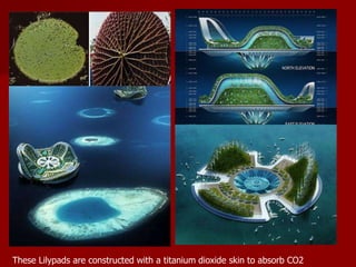 These Lilypads are constructed with a titanium dioxide skin to absorb CO2
 