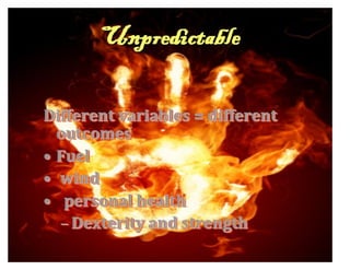 Deb Schaap — Play with Fire