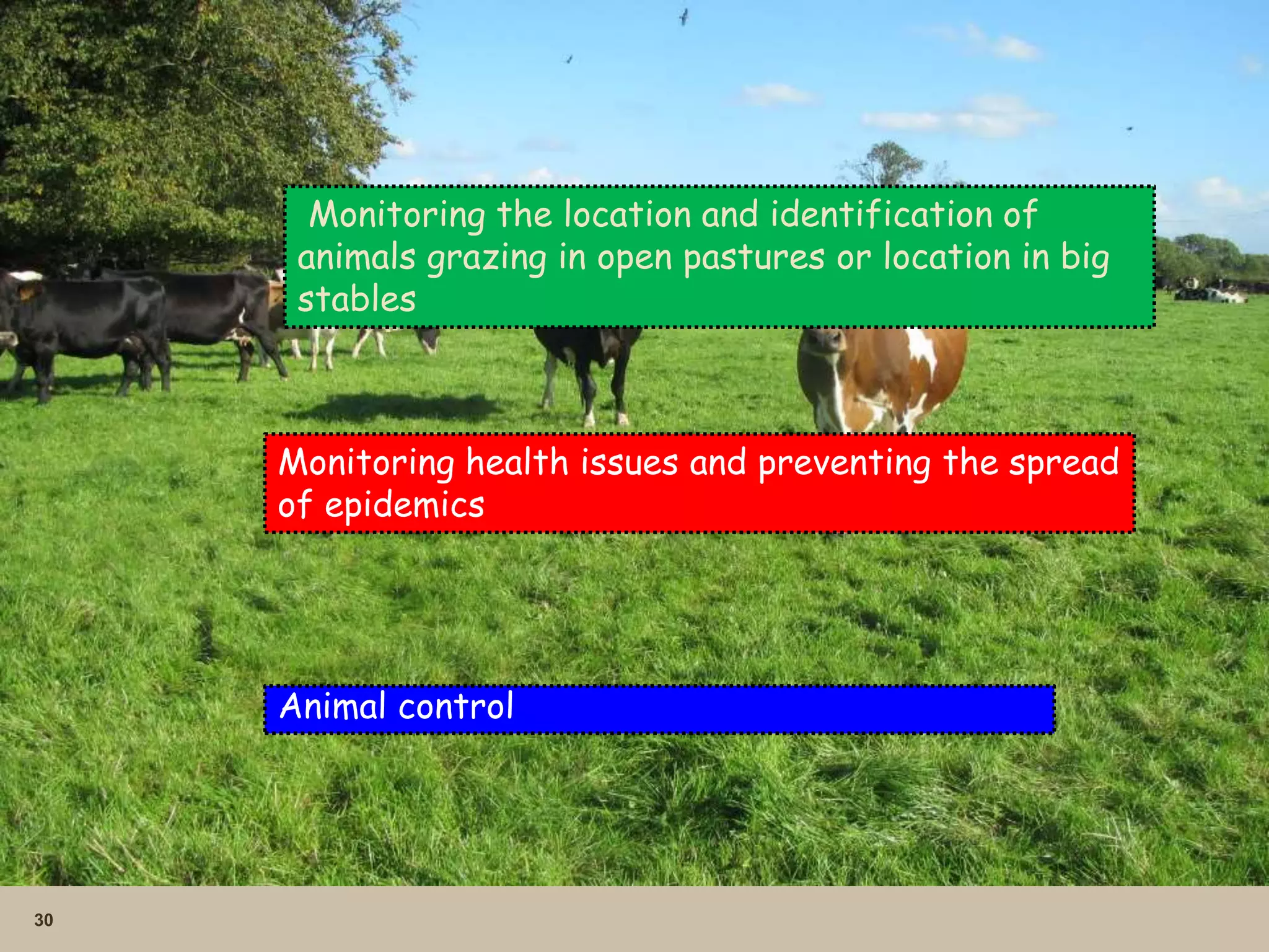 30
Animal control
Monitoring the location and identification of
animals grazing in open pastures or location in big
stables
Monitoring health issues and preventing the spread
of epidemics
 
