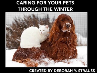 CARING FOR YOUR PETS
THROUGH THE WINTER
CREATED BY DEBORAH Y. STRAUSS
 