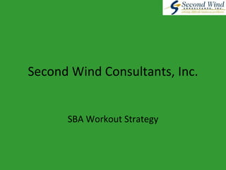 Second Wind Consultants, Inc. SBA Workout Strategy 