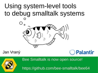 Using system-level tools
to debug smalltalk systems
Bee Smalltalk is now open source!
https://github.com/bee-smalltalk/bee64
Jan Vraný
 