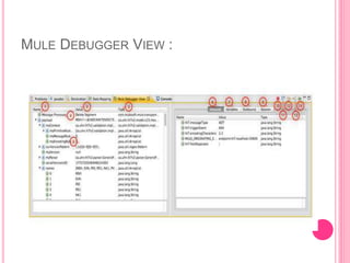 MULE DEBUGGER VIEW :
 
