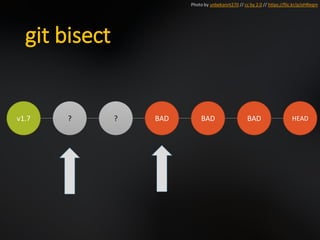 git bisect
v1.7 ? ? BAD BAD BAD HEAD
Photo by unbekannt270 // cc by 2.0 // https://flic.kr/p/oHReqm
 