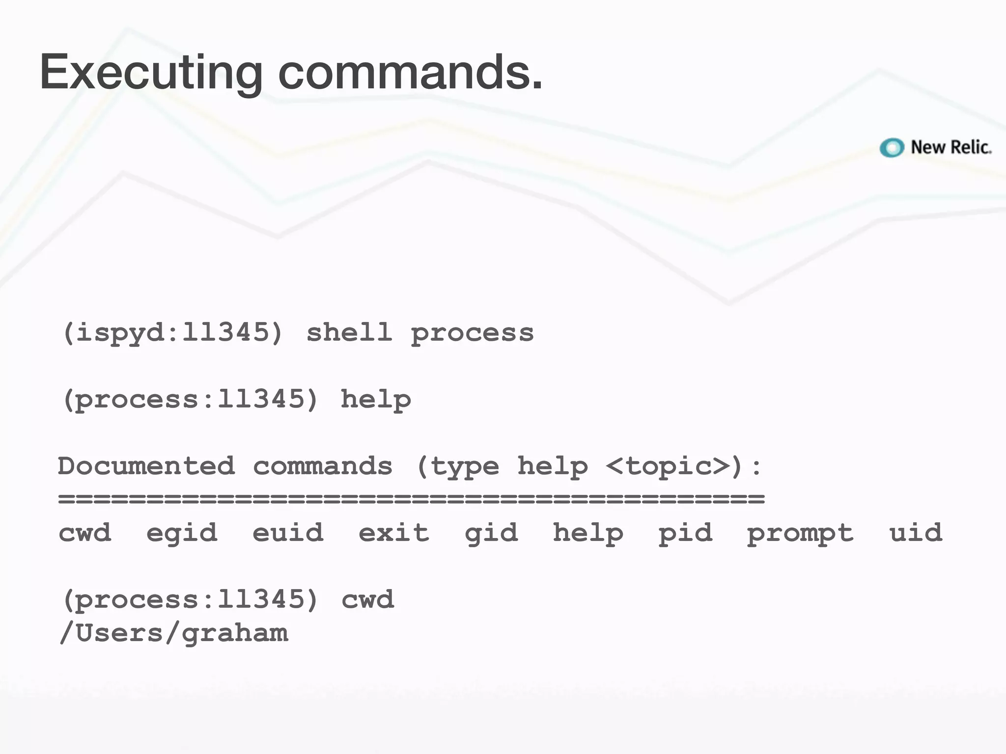 Executing commands.




(ispyd:ll345) shell process

(process:ll345) help

Documented commands (type help <topic>):
========================================
cwd egid euid exit gid help pid prompt     uid

(process:ll345) cwd
/Users/graham
 