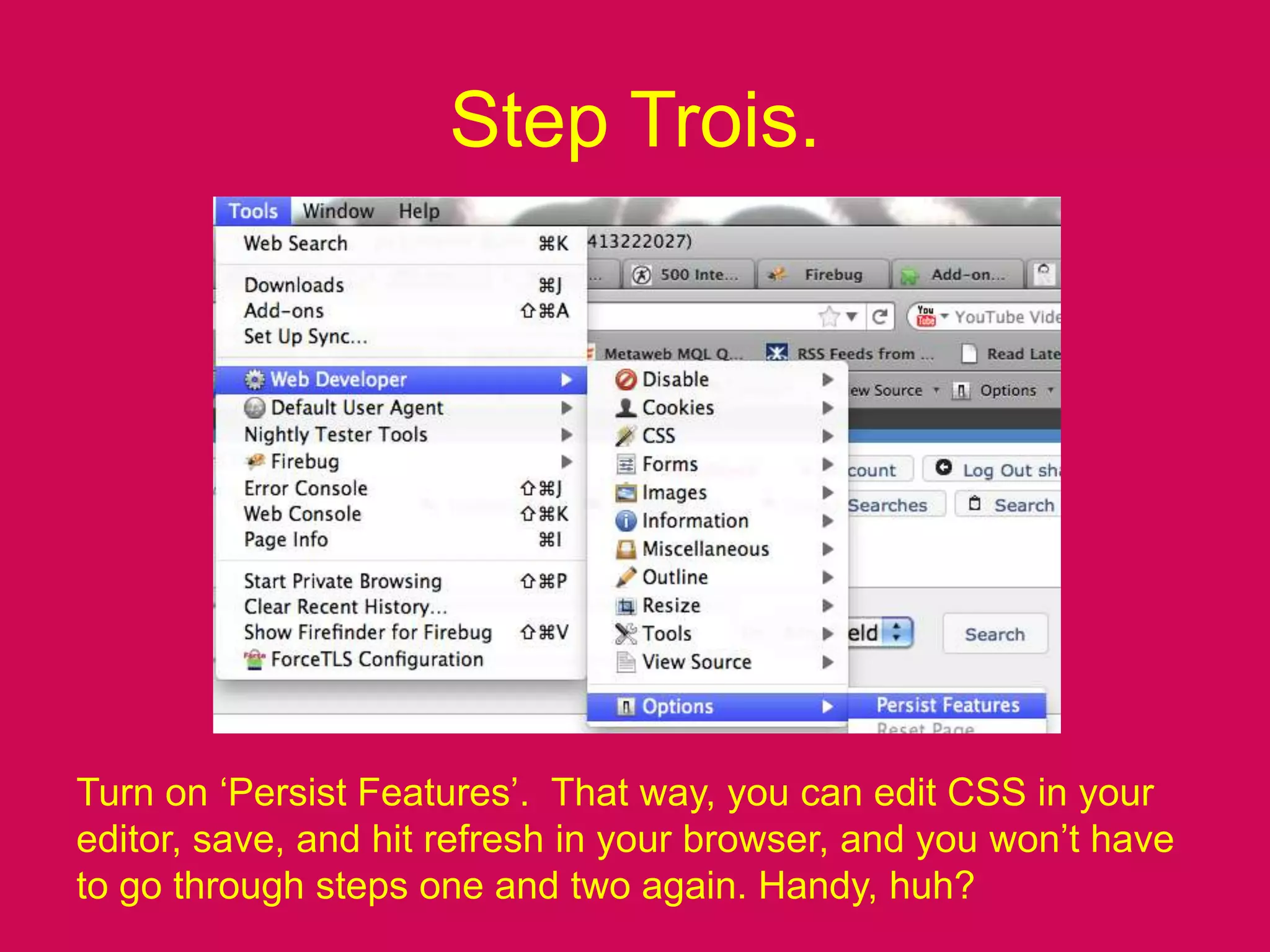 Step Trois.Turn on ‘Persist Features’.  That way, you can edit CSS in your editor, save, and hit refresh in your browser, and you won’t have to go through steps one and two again. Handy, huh?