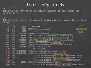 lsof -nPp <pid>
-n
Inhibits the conversion of network numbers to host names for
network files.

-P
Inhibits the conversion...
