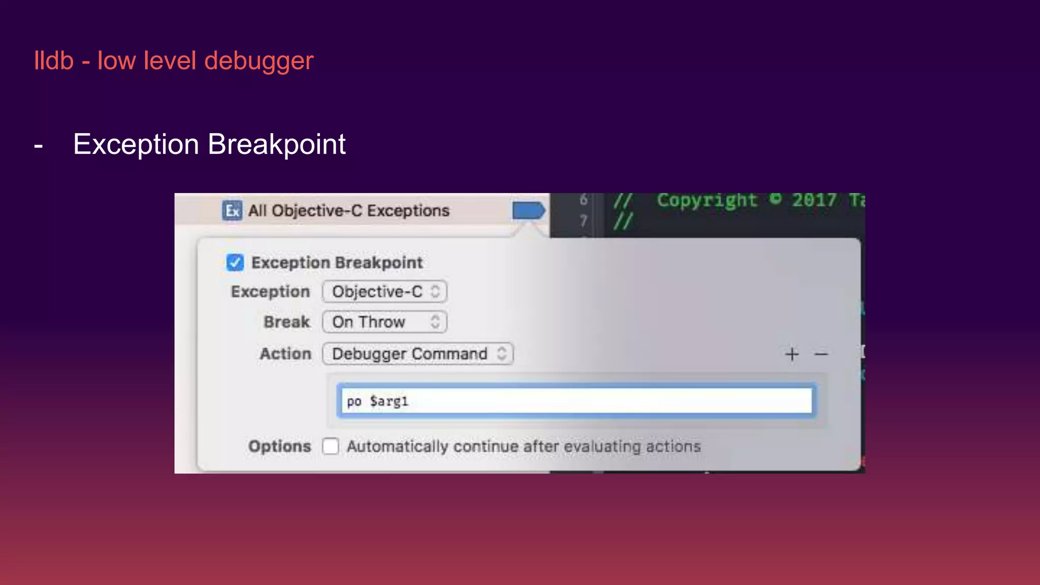 lldb - low level debugger
- Exception Breakpoint
 
