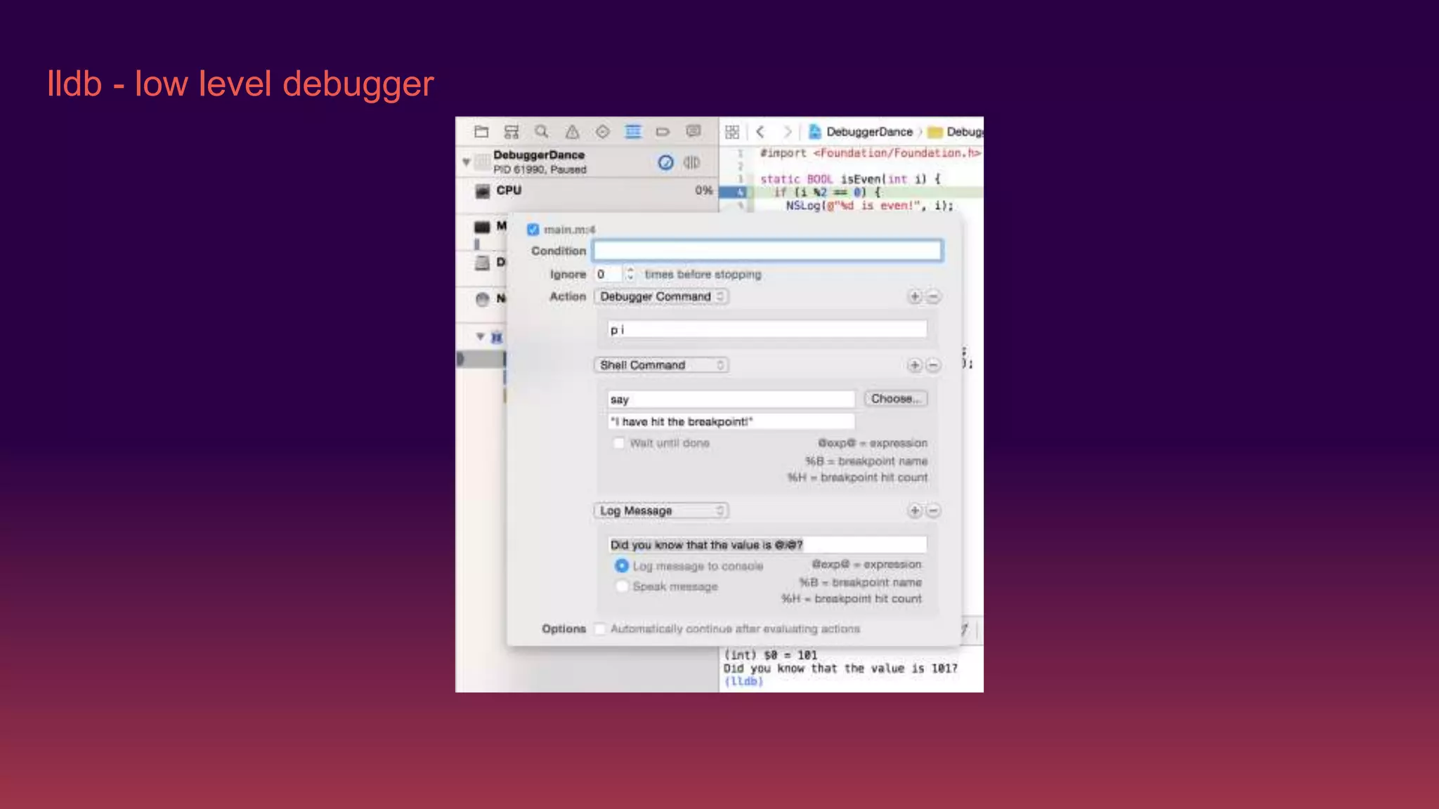 lldb - low level debugger
 