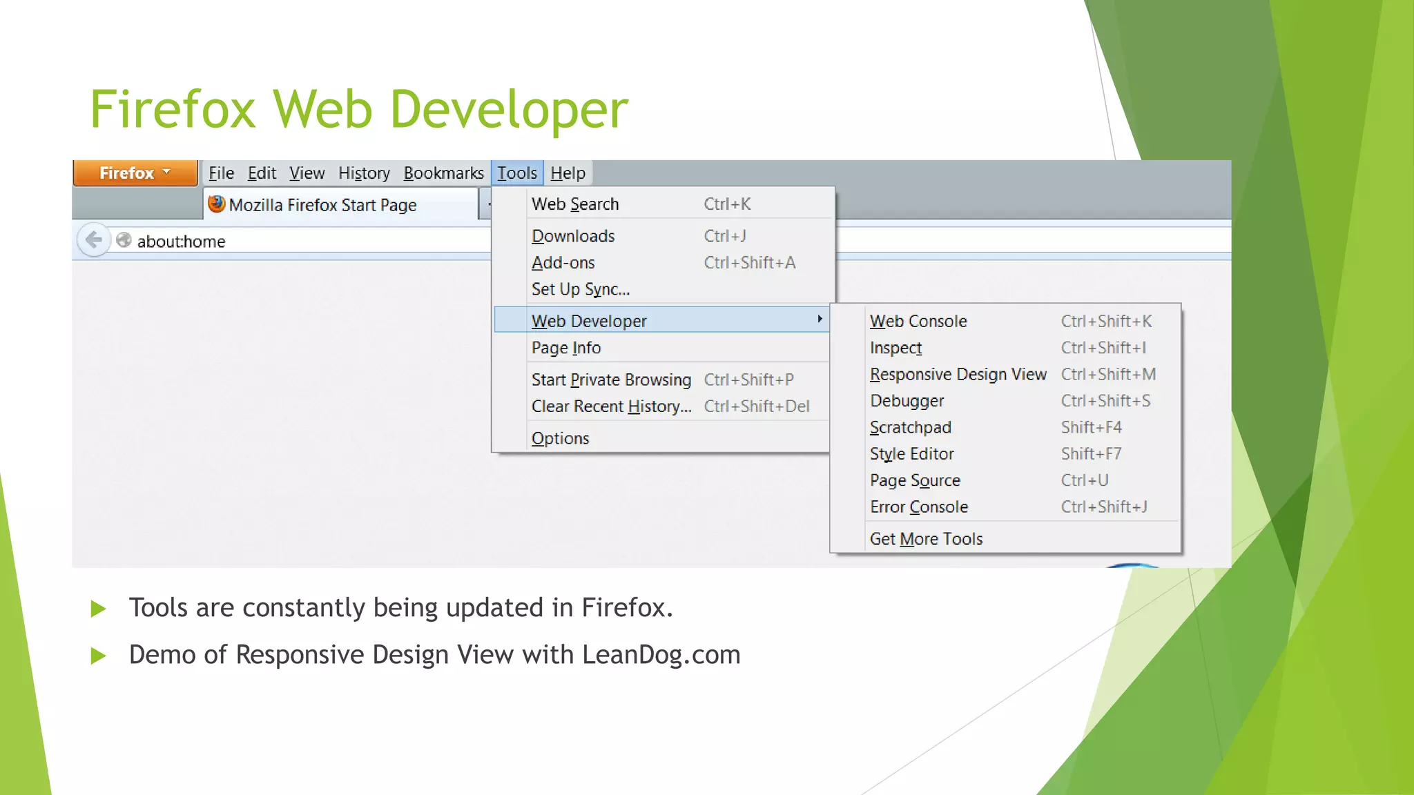 Firefox Web Developer




   Tools are constantly being updated in Firefox.
   Demo of Responsive Design View with LeanDog.com
 