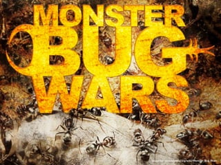 Image by - en.wikipedia.org/wiki/Monster_Bug_Wars 
 