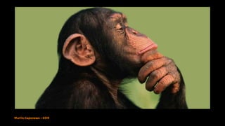 Murilo Capanema - 2015
 