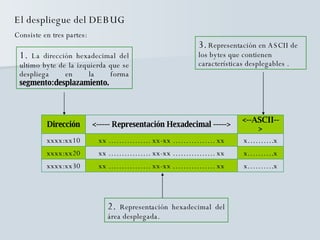 El despliegue del DEBUG Consiste en tres partes: 1.  La dirección hexadecimal del ultimo byte de la izquierda que se despliega en la forma  segmento:desplazamiento. 2.  Representación hexadecimal del área desplegada. 3.  Representación en ASCII de los bytes que contienen características desplegables . x……….x xx ……………. xx-xx ……………. xx xxxx:xx30 x……….x xx ……………. xx-xx ……………. xx xxxx:xx20 x……….x xx ……………. xx-xx ……………. xx xxxx:xx10 <--ASCII--> <----- Representación Hexadecimal -----> Dirección 