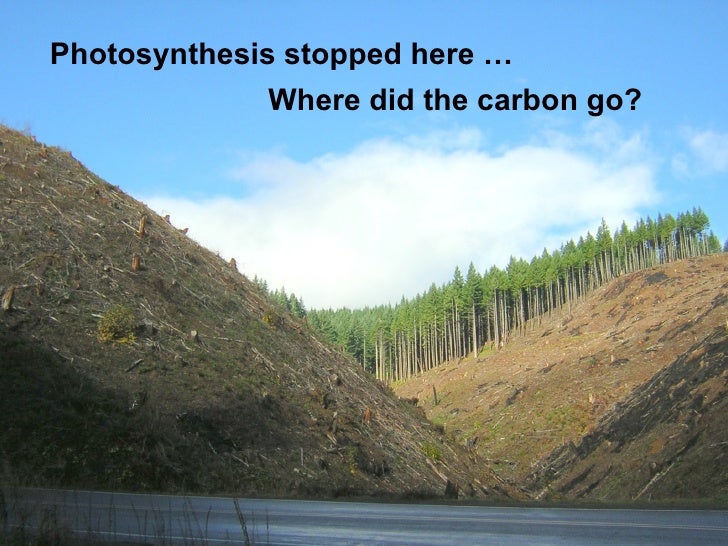 Answers to Creationist Attacks on Carbon Dating | NCSE