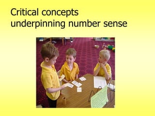 Critical concepts
underpinning number sense

 