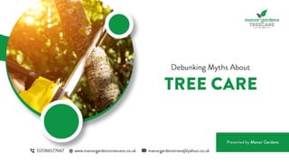 Debunking Myths About Tree Care.pptx