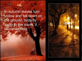 In autumn leaves turn yellow and fall down on the ground, birds fly away to the south, it becomes cold. 
