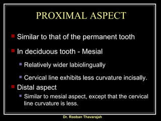 PROXIMAL ASPECT
Dr. Rooban Thavarajah
Similar to that of the permanent tooth
In deciduous tooth - Mesial
Relatively wider labiolingually
Cervical line exhibits less curvature incisally.
Distal aspect
Similar to mesial aspect, except that the cervical
line curvature is less.