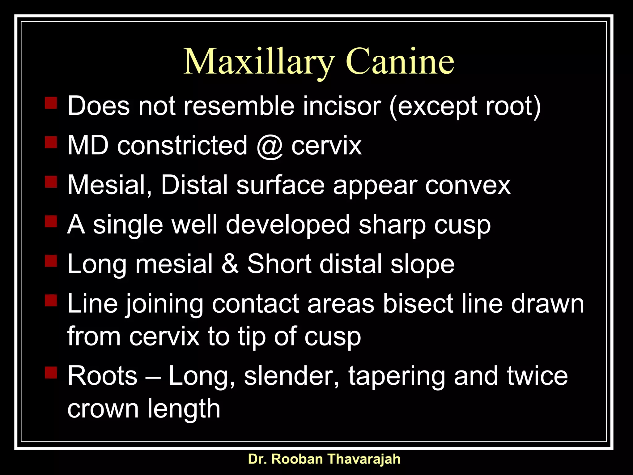 Dr. Rooban Thavarajah
Maxillary Canine
 Does not resemble incisor (except root)
 MD constricted @ cervix
 Mesial, Distal surface appear convex
 A single well developed sharp cusp
 Long mesial & Short distal slope
 Line joining contact areas bisect line drawn
from cervix to tip of cusp
 Roots – Long, slender, tapering and twice
crown length
 