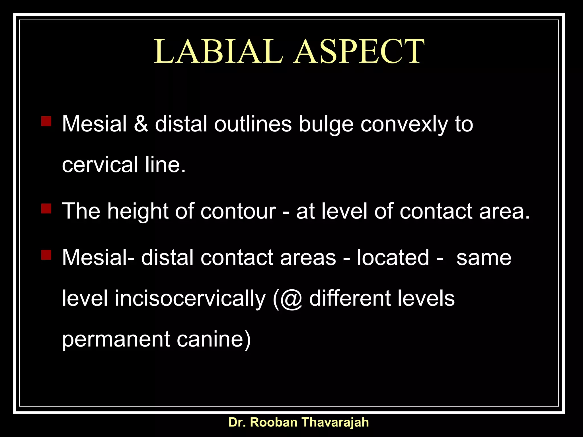 LABIAL ASPECT
 Mesial & distal outlines bulge convexly to
cervical line.
 The height of contour - at level of contact area.
 Mesial- distal contact areas - located - same
level incisocervically (@ different levels
permanent canine)
Dr. Rooban Thavarajah
 