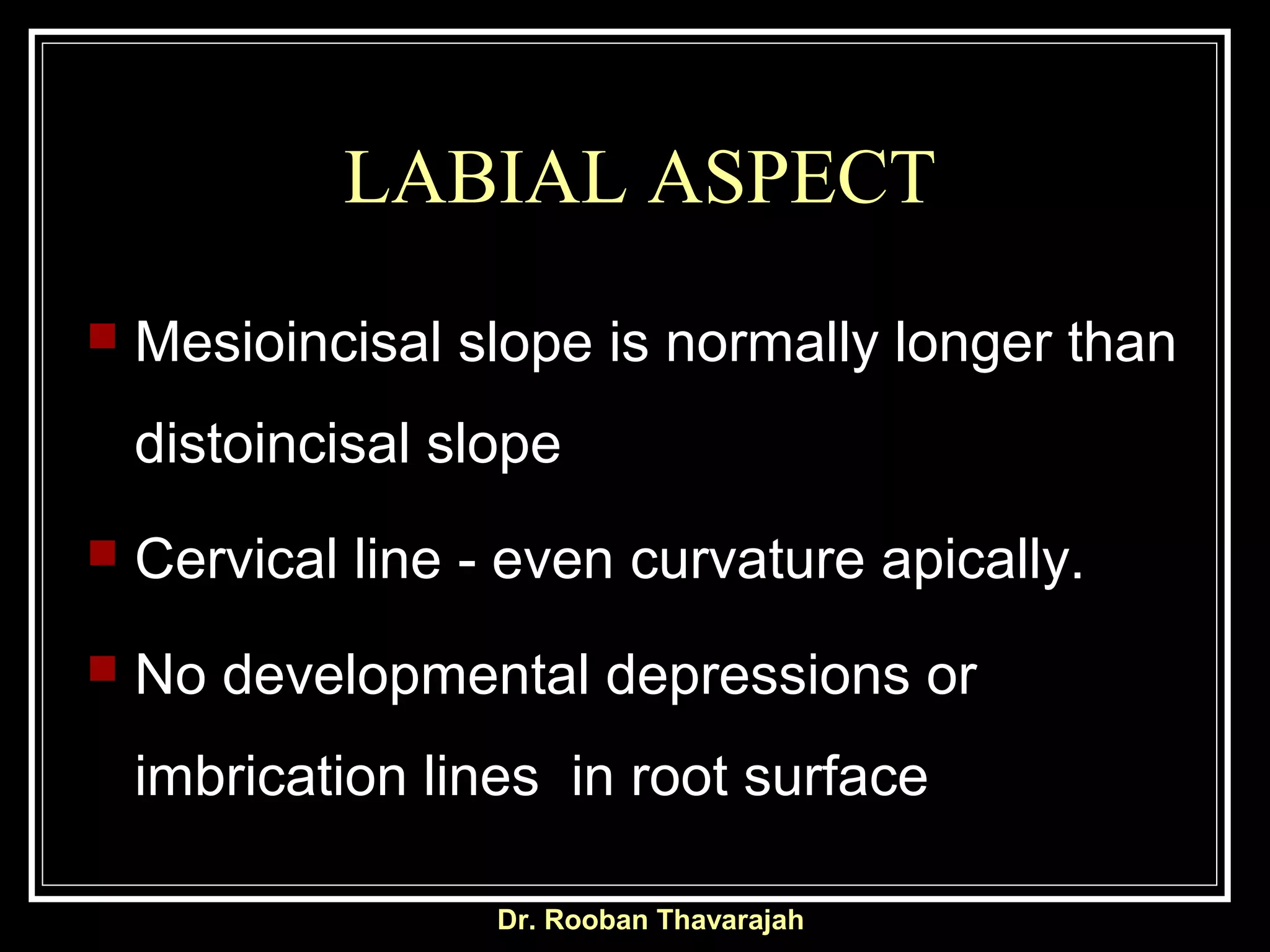 LABIAL ASPECT
 Mesioincisal slope is normally longer than
distoincisal slope
 Cervical line - even curvature apically.
 No developmental depressions or
imbrication lines in root surface
Dr. Rooban Thavarajah
 