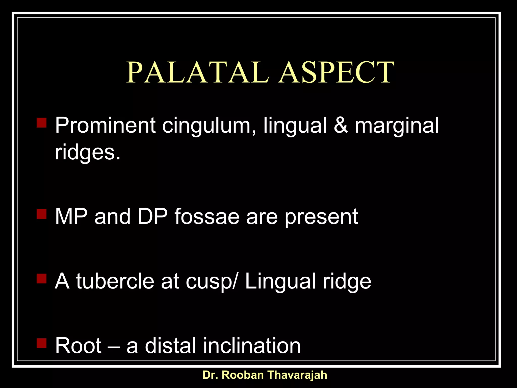 PALATAL ASPECT
 Prominent cingulum, lingual & marginal
ridges.
 MP and DP fossae are present
 A tubercle at cusp/ Lingual ridge
 Root – a distal inclination
Dr. Rooban Thavarajah
 