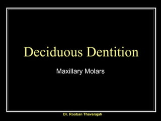 Dr. Rooban Thavarajah
Deciduous Dentition
Maxillary Molars
 
