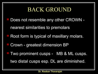 BACK GROUND
 Does not resemble any other CROWN -
nearest similarities to premolars
 Root form is typical of maxillary mo...