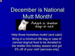 December is National
Mutt Month!
Help those homeless mutts! (and cats!)
Bring in a minimum 5lb bag or case of
canned dog/cat food to be donated to
the shelter this holiday season and get
5% off of your visit! (services only)

 