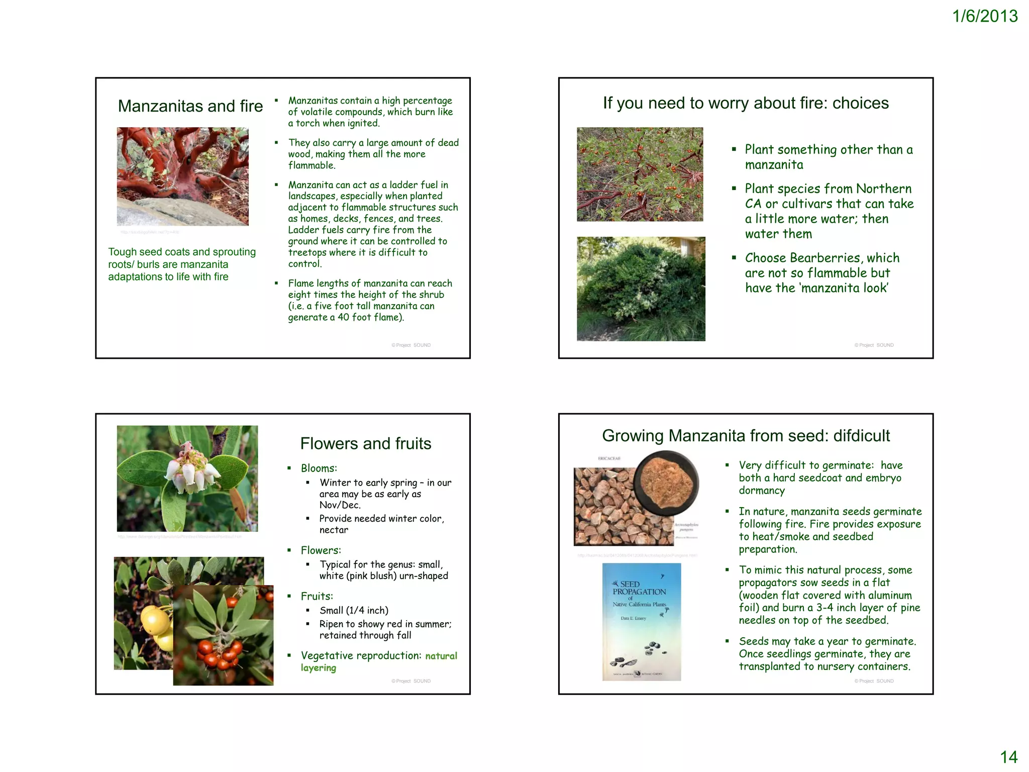 1/6/2013



                                                                       Manzanitas contain a high percentage
 Manzanitas and fire                                                    of volatile compounds, which burn like
                                                                                                                             If you need to worry about fire: choices
                                                                        a torch when ignited.

                                                                       They also carry a large amount of dead
                                                                        wood, making them all the more                                                                           Plant something other than a
                                                                        flammable.                                                                                                manzanita
                                                                        Manzanita can act as a ladder fuel in
                                                                    
                                                                                                                                                                                 Plant species from Northern
                                                                        landscapes, especially when planted
                                                                        adjacent to flammable structures such                                                                     CA or cultivars that can take
                                                                        as homes, decks, fences, and trees.                                                                       a little more water; then
                                                                        Ladder fuels carry fire from the
  http://sandiegohiker.net/?p=408
                                                                                                                                                                                  water them
                                                                        ground where it can be controlled to
Tough seed coats and sprouting                                          treetops where it is difficult to
roots/ burls are manzanita                                              control.
                                                                                                                                                                                 Choose Bearberries, which
adaptations to life with fire                                                                                                                                                     are not so flammable but
                                                                       Flame lengths of manzanita can reach
                                                                        eight times the height of the shrub
                                                                                                                                                                                  have the ‘manzanita look’
                                                                        (i.e. a five foot tall manzanita can
                                                                        generate a 40 foot flame).

                                                                                               © Project SOUND                                                                                            © Project SOUND




                                                                          Flowers and fruits                                Growing Manzanita from seed: difdicult
                                                                         Blooms:                                                                                               Very difficult to germinate: have
                                                                              Winter to early spring – in our                                                                   both a hard seedcoat and embryo
                                                                               area may be as early as                                                                           dormancy
                                                                               Nov/Dec.
                                                                                                                                                                                In nature, manzanita seeds germinate
                                                                              Provide needed winter color,
                                                                                                                                                                                 following fire. Fire provides exposure
                                                                               nectar
 http://www.delange.org/ManzanitaPointleaf/ManzanitaPointleaf.htm                                                                                                                to heat/smoke and seedbed
                                                                         Flowers:                               http://hazmac.biz/041206b/041206bArctostaphylosPungens.html
                                                                                                                                                                                 preparation.
                                                                              Typical for the genus: small,
                                                                                                                                                                                To mimic this natural process, some
                                                                               white (pink blush) urn-shaped
                                                                                                                                                                                 propagators sow seeds in a flat
                                                                         Fruits:                                                                                                (wooden flat covered with aluminum
                                                                              Small (1/4 inch)                                                                                  foil) and burn a 3-4 inch layer of pine
                                                                              Ripen to showy red in summer;                                                                     needles on top of the seedbed.
                                                                               retained through fall
                                                                                                                                                                                Seeds may take a year to germinate.
                                                                         Vegetative reproduction: natural                                                                       Once seedlings germinate, they are
                                                                          layering                                                                                               transplanted to nursery containers.
                                                                                               © Project SOUND                                                                                            © Project SOUND




                                                                                                                                                                                                                                 14
 