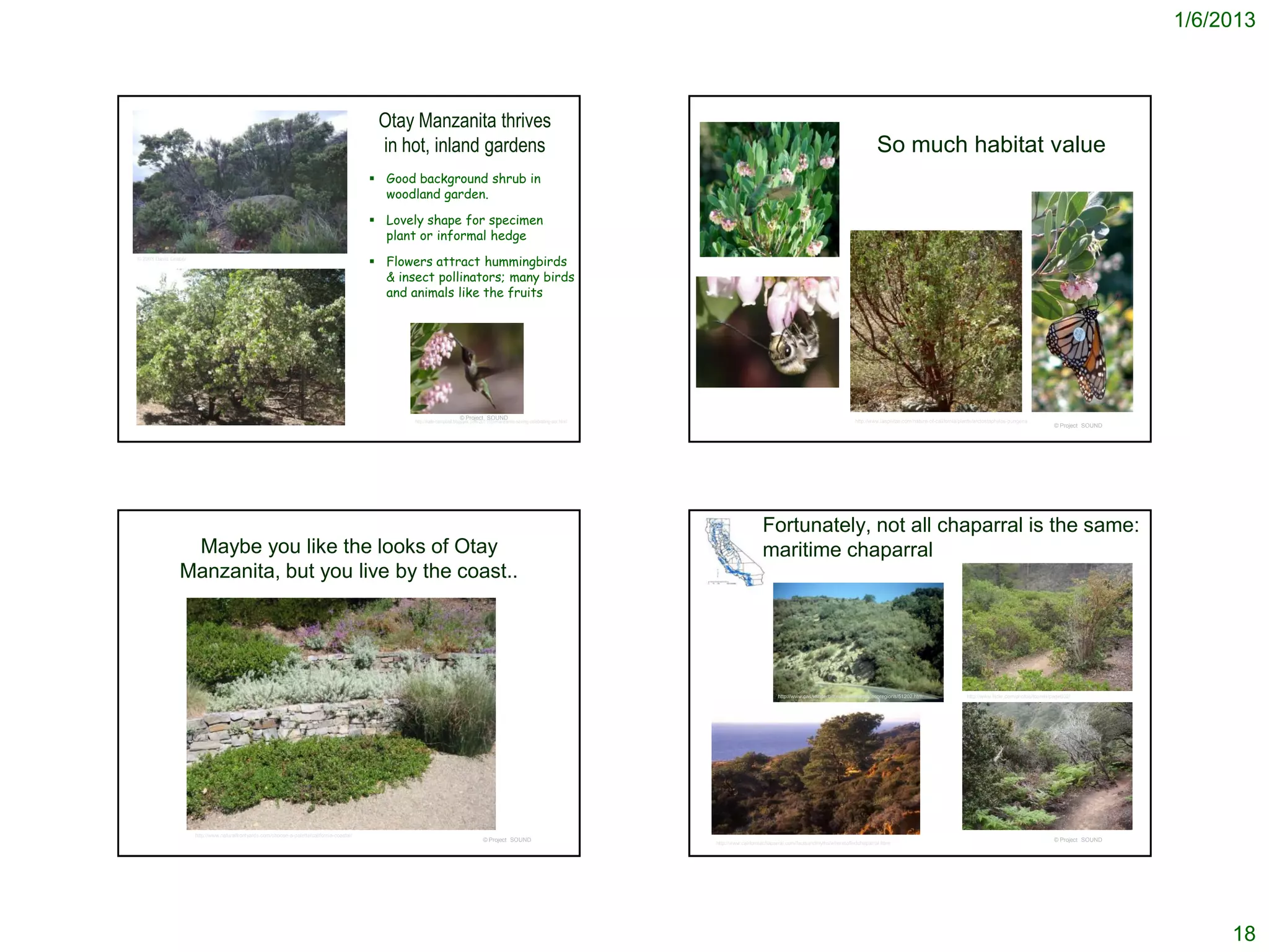 1/6/2013



                                                                                               Otay Manzanita thrives
                                                                                               in hot, inland gardens                                                                                                                                      So much habitat value
                                                                                               Good background shrub in
                                                                                                woodland garden.

                                                                                               Lovely shape for specimen
                                                                                                plant or informal hedge
© 2003 David Graber
                                                                                               Flowers attract hummingbirds
                                                                                                & insect pollinators; many birds
                                                                                                and animals like the fruits




                                                                                                                            © Project SOUND
                                                                                                     http://kate-campbell.blogspot.com/2011/09/manzanita-saving-celebrating-our.html                                                              http://www.laspilitas.com/nature-of-california/plants/arctostaphylos-pungens
                                                                                                                                                                                                                                                                                                                                         © Project SOUND




                                                                                                                                                                                                          Fortunately, not all chaparral is the same:
                 Maybe you like the looks of Otay                                                                                                                                                         maritime chaparral
                Manzanita, but you live by the coast..




                                                                                                                                                                                                                 http://www.cas.vanderbilt.edu/bioimages/ecoregions/51202.htm                      http://www.flickr.com/photos/tcorelli/page602/




                      http://www.naturalfrontyards.com/choose-a-palette/california-coastal/
                                                                                                                                        © Project SOUND                                                                                                                                                                                  © Project SOUND
                                                                                                                                                                                       http://www.californiachaparral.com/factsandmyths/wheretofindchaparral.html




                                                                                                                                                                                                                                                                                                                                                                18
 